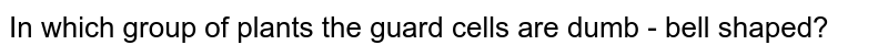 In which group of plants the guard cells are dumb - bell shaped?
