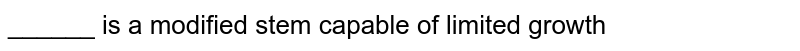 ______ is a modified stem capable of limited growth