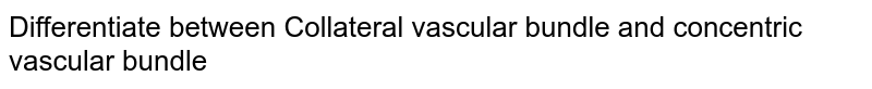 Differentiate between Collateral vascular bundle and concentric vascular bundle