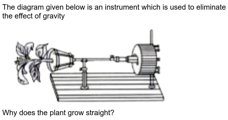 The diagram given below is an instrument which is used to eliminate the effect of gravity <br> <img src="https://doubtnut-static.s.llnwi.net/static/physics_images/EVR_ANM_ICSE_BIO_X_C06_E01_051_Q01.png" width="80%"> <br> Why does the plant grow straight?