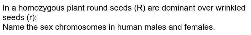 In a homozygous plant round seeds (R) are dominant over wrinkled seeds (r): <br> Name the sex chromosomes in human males and females.