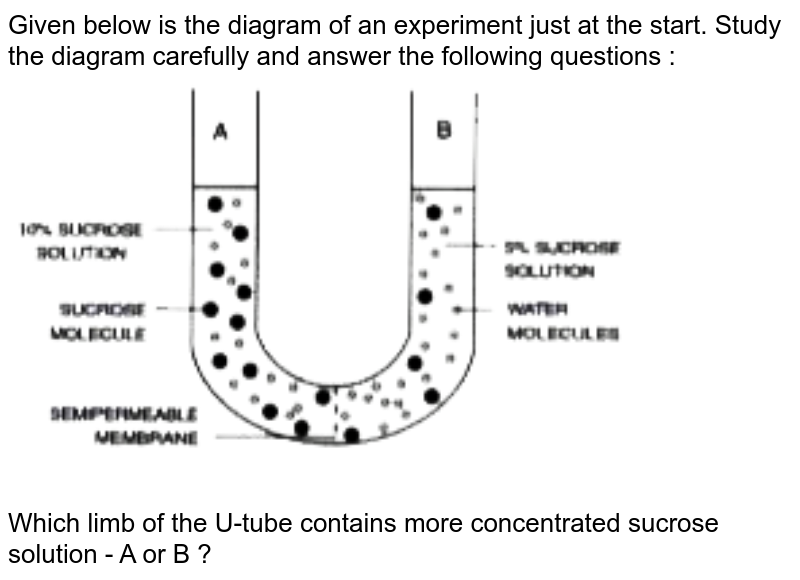 Given below is the diagram of an experiment just at the start. Study the diagram carefully and answer the following questions : <br> <img src="https://doubtnut-static.s.llnwi.net/static/physics_images/EVR_ANM_ICSE_BIO_X_C03_E01_090_Q01.png" width="80%"> <br> Which limb of the U-tube contains more concentrated sucrose solution - A or B ?