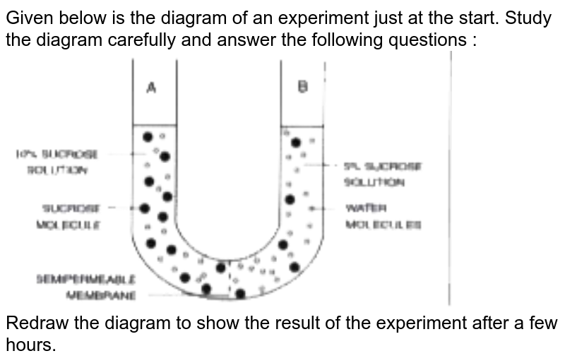 Given below is the diagram of an experiment just at the start. Study the diagram carefully and answer the following questions : <br> <img src="https://doubtnut-static.s.llnwi.net/static/physics_images/EVR_ANM_ICSE_BIO_X_C03_E01_094_Q01.png" width="80%"> <br> Redraw the diagram to show the result of the experiment after a few hours.