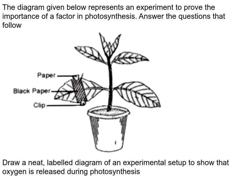 hydrilla experiment observation