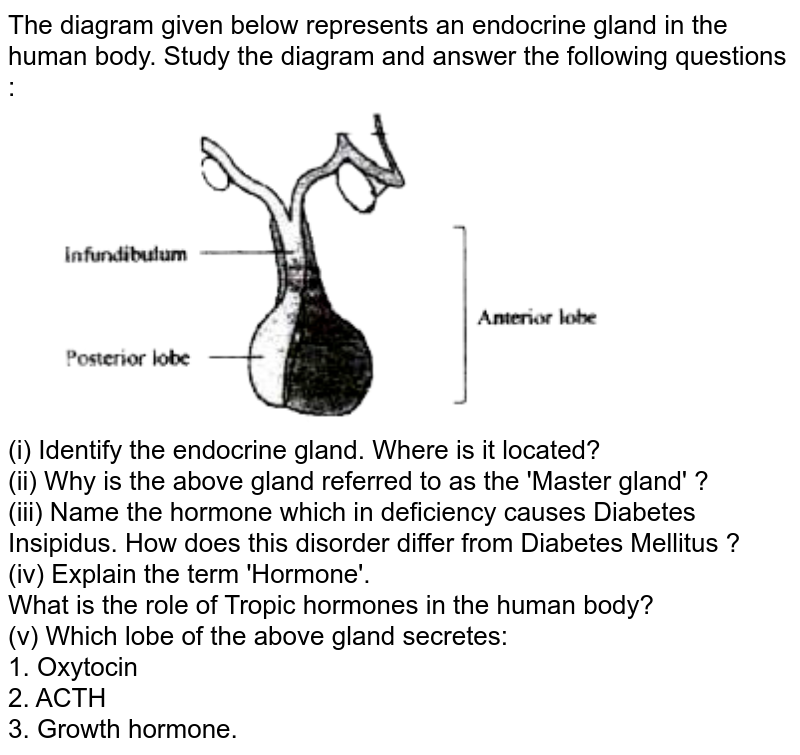 Observe the below diagram and answer the following questions.i Thi