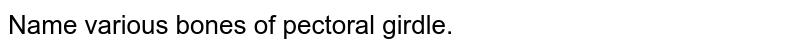 Name various bones of pectoral girdle.