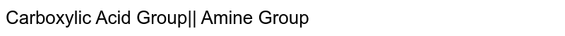 Carboxylic Acid Group|| Amine Group