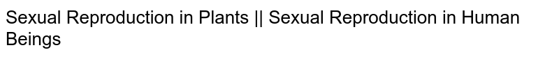 Sexual Reproduction in Plants || Sexual Reproduction in Human Beings