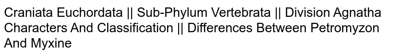 Craniata Euchordata || Sub-Phylum Vertebrata || Division Agnatha Characters And Classification || Differences Between Petromyzon And Myxine