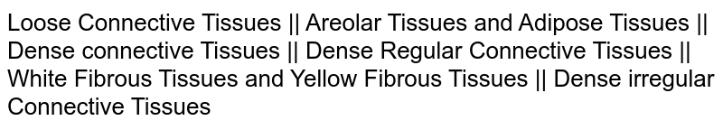 Loose Connective Tissues || Areolar Tissues and Adipose Tissues || Dense connective Tissues || Dense Regular Connective Tissues || White Fibrous Tissues and Yellow Fibrous Tissues || Dense irregular Connective Tissues