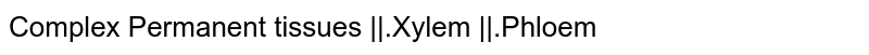 Complex Permanent tissues ||.Xylem ||.Phloem
