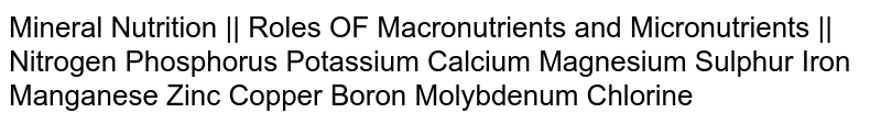 Mineral Nutrition || Roles OF Macronutrients and Micronutrients || Nitrogen Phosphorus Potassium Calcium Magnesium Sulphur Iron Manganese Zinc Copper Boron Molybdenum Chlorine