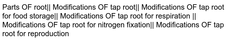 Parts OF root|| Modifications OF tap root|| Modifications OF tap root for food storage|| Modifications OF tap root for respiration || Modifications OF tap root for nitrogen fixation|| Modifications OF tap root for reproduction