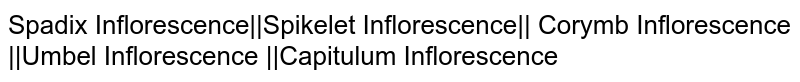 Spadix Inflorescence||Spikelet Inflorescence|| Corymb Inflorescence ||Umbel Inflorescence ||Capitulum Inflorescence