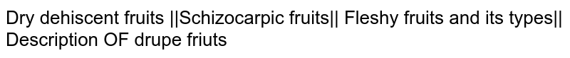 Dry dehiscent fruits ||Schizocarpic fruits|| Fleshy fruits and its types|| Description OF drupe friuts