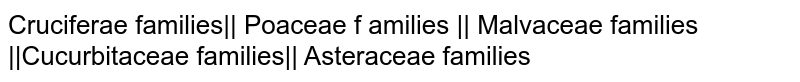 Cruciferae families|| Poaceae f amilies || Malvaceae families ||Cucurbitaceae families|| Asteraceae families