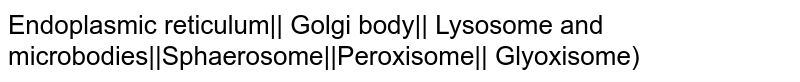 Endoplasmic reticulum|| Golgi body|| Lysosome and microbodies||Sphaerosome||Peroxisome|| Glyoxisome)