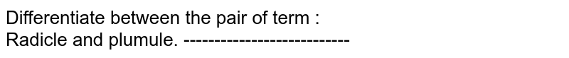 Differentiate between the pair of term : Radicle and plumule.