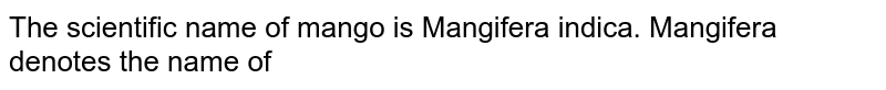 The scientific name of mango is Mangifera indica. Mangifera denotes the name of