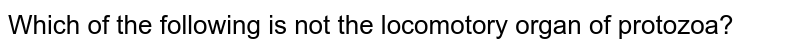 Which of the following is not the locomotory organ of protozoa? (a) cilia (b) flagella (c) parapodia (d) pseudopodia