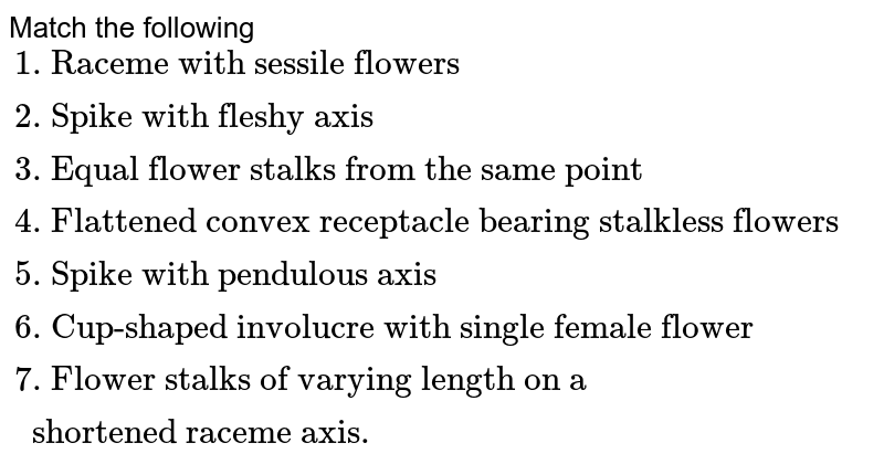 Match the following {:("1. Raceme with sessile flowers ","(a) Catkin "),("2. Spike with fleshy axis ","(b) Umbel "),("3. Equal flower stalks from the same point ","(c) Spike "),("4. Flattened convex receptacle bearing stalkless flowers ","(d) Cyathium "),("5. Spike with pendulous axis ","(e) Spadix "),("6. Cup-shaped involucre with single female flower ","(f) Corymb "),("7. Flower stalks of varying length on a ","(g) Capitulum"),(" shortened raceme axis.",):}