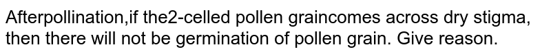 After Pollination,if the 2-celled pollen grain comes across dry stigma, then there will not be germination of pollen grain. Give reason.