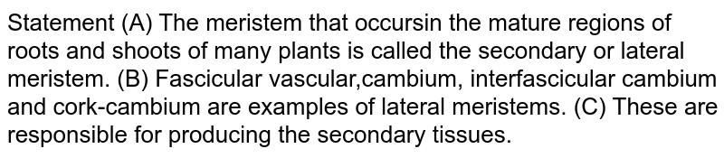 Statement (A) The meristem that occursin the mature regions of roots and shoots of many plants is called the secondary or lateral meristem. (B) Fascicular cambium, interfascicular cambium and cork-cambium are examples of lateral meristems. (C) These are responsible for producing the secondary tissues.