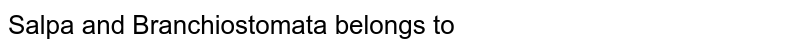 Salpa and Branchiostomata belongs to