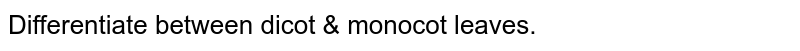 Differentiate between dicot & monocot leaves.