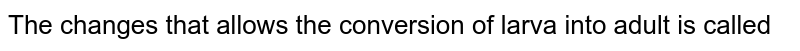 The changes that allows the conversion of larva into adult is called