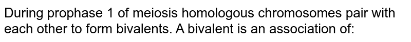 During prophase 1 of meiosis homologous chromosomes pair with each other to form bivalents. A bivalent is an association of: