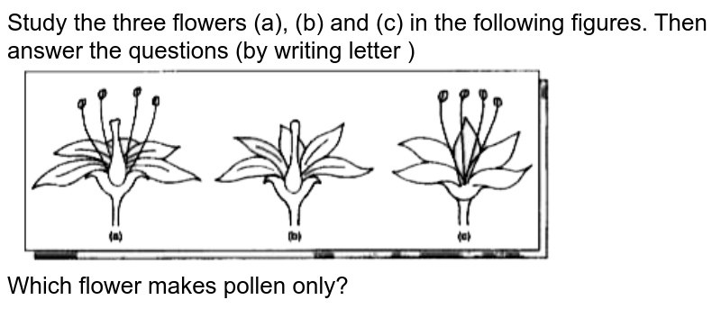 Study the three flowers (a), (b) and (c) in the following figures. Then answer the questions (by writing letter ) <br> <img src="https://doubtnut-static.s.llnwi.net/static/physics_images/GBP_AKA_ICSE_BIO_VI_PA_E02_047_Q01.png" width="80%">   <br>  Which flower makes pollen only? 