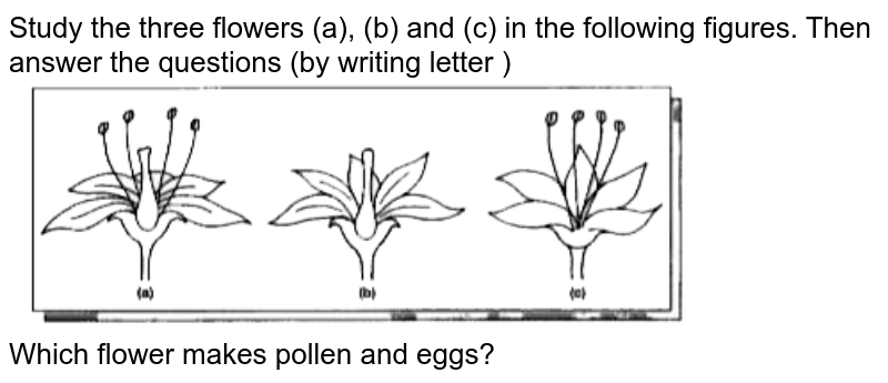 Study the three flowers (a), (b) and (c) in the following figures. Then answer the questions (by writing letter ) <br> <img src="https://doubtnut-static.s.llnwi.net/static/physics_images/GBP_AKA_ICSE_BIO_VI_PA_E02_049_Q01.png" width="80%">   <br> Which flower makes pollen and eggs? 