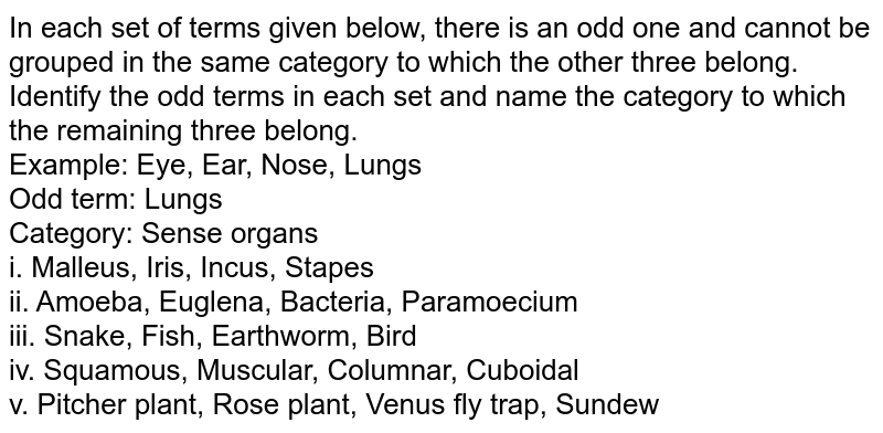 lobule-anatomy-britannica