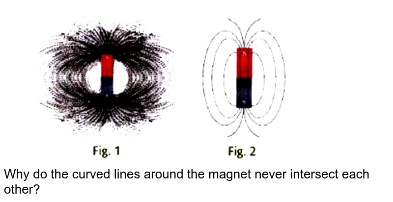 Two magnetic field lines never intersect each other why