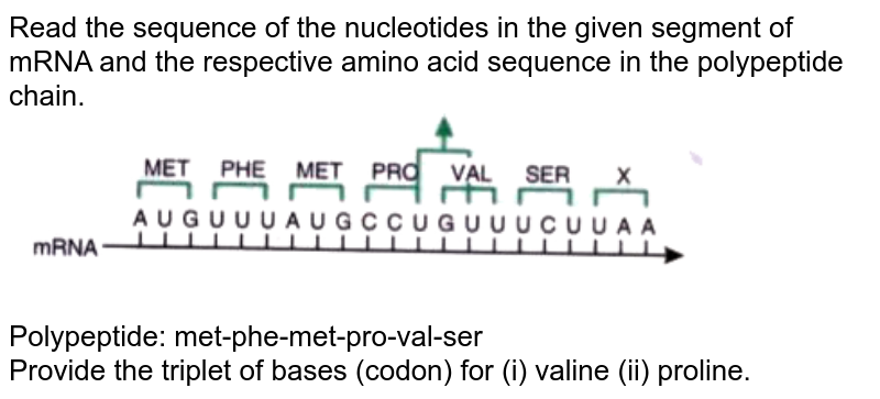 Given Below Are The Sequence Of Nucleotides In A Particular Mrna A