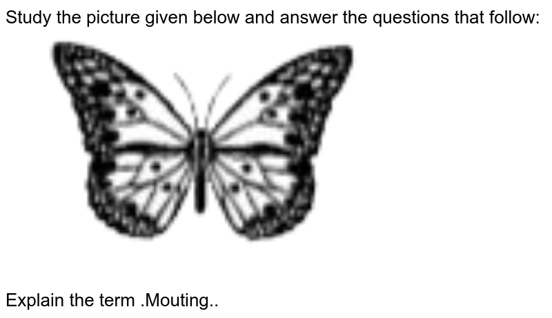 Study the picture given below and answer the questions that follow:  <br> <img src="https://doubtnut-static.s.llnwi.net/static/physics_images/OSW_ICSE_QB_BIO_IX_EP_20_E01_030_Q01.png" width="80%"> <br> Explain the term .Mouting..