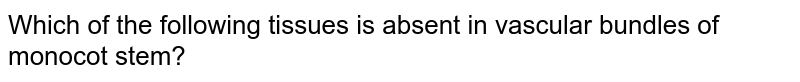 Which of the following tissues is absent in vascular bundles of monocot stem?
