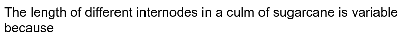 The length of different internodes in a culm of sugarcane is variable because