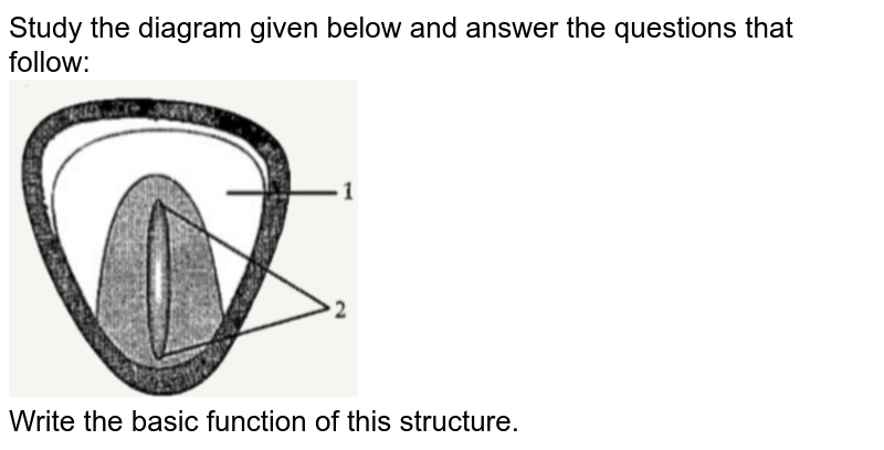 Study the diagram given below and answer the questions that follow: <br> <img src="https://doubtnut-static.s.llnwi.net/static/physics_images/OSW_ICSE_QB_BIO_IX_C06_E01_039_Q01.png" width="40%"> <br>  Write the basic function of this structure. 