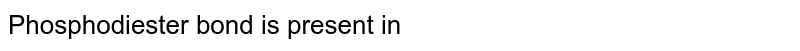 Phosphodiester bond is present in