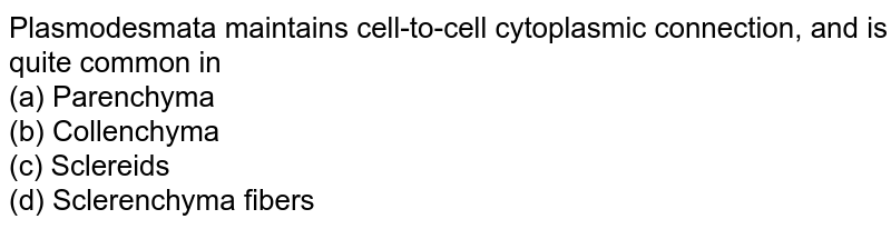 Plasmodesmata maintains cell-to-cell cytoplasmic connection, and is quite common in (a) Parenchyma (b) Collenchyma (c) Sclereids (d) Sclerenchyma fibers