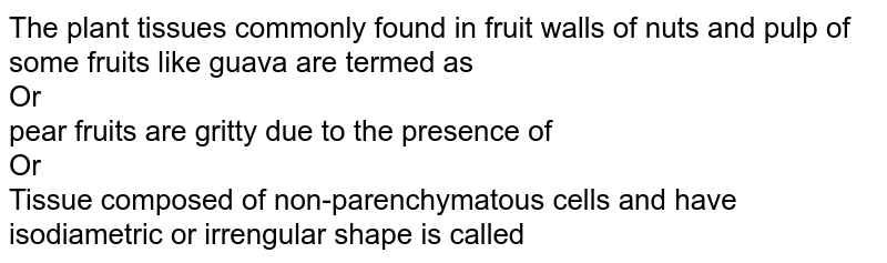 The plant tissues commonly found in fruit walls of nuts and pulp of some fruits like guava are termed as Or pear fruits are gritty due to the presence of Or Tissue composed of non-parenchymatous cells and have isodiametric or irrengular shape is called