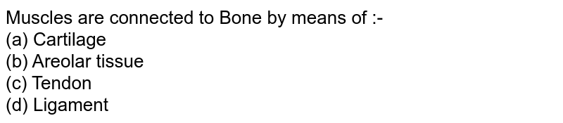 Muscles are connected to Bone by means of :- <br>(a) Cartilage<br>

(b) Areolar tissue<br>

(c) Tendon<br>

(d) Ligament