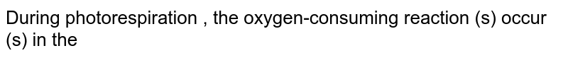 During photorespiration, the oxygen consuming reaction (s) occur in (a) Grana of chloroplasts and peroxisomes (b) Stroma of chloroplasts (c) Stroma of chloroplasts and mitochondria (d) Stroma of chloroplasts and peroxisomes