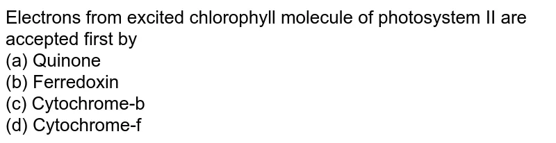 Which Statement Describes The Functioning Of Photosystem Ii� Whic Which Statement Describes The Functioning Of Photosystem Ii� Whic