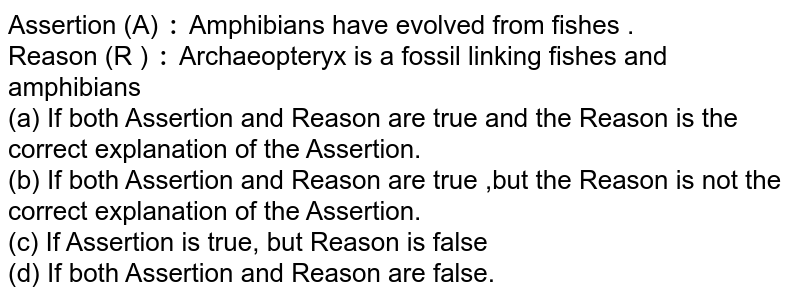 Assertion (A) : Amphibians have evolved from fishes . Reason (R ) : Archaeopteryx is a fossil linking fishes and amphibians (a) If both Assertion and Reason are true and the Reason is the correct explanation of the Assertion. (b) If both Assertion and Reason are true ,but the Reason is not the correct explanation of the Assertion. (c) If Assertion is true, but Reason is false (d) If both Assertion and Reason are false.