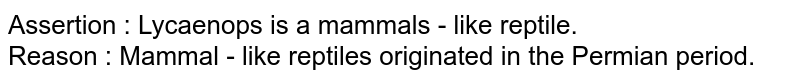 Assertion : Lycaenops is a mammals - like reptile. Reason : Mammal - like reptiles originated in the Permian period. (a) If both Assertion and Reason are true and the Reason is the correct explanation of the Assertion. (b) If both Assertion and Reason are true ,but the Reason is not the correct explanation of the Assertion. (c) If Assertion is true, but Reason is false (d) If both Assertion and Reason are false.