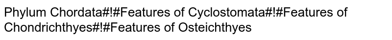 Phylum Chordata#!#Features of Cyclostomata#!#Features of Chondrichthyes#!#Features of Osteichthyes