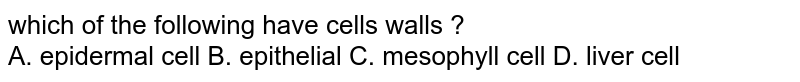 which of the following have cells walls ? A. epidernal cell B. epithelisl C. mesophyll cell D. liver cell